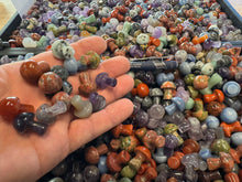 Mini Stone Mushroom Mix - 1 pound