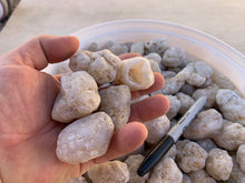 Phosphorescent Tumbled Geodes 10 pounds Roughstone.Rocks LLC