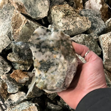 Tree Agate Large Pieces from India 10 pounds Roughstone.Rocks LLC