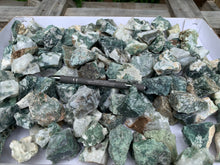 Tree Agate Small Pieces from India 10 pounds Roughstone.Rocks LLC
