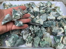 Tree Agate Small Pieces from India 10 pounds Roughstone.Rocks LLC