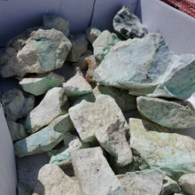 Rough Chrysoprase from Poland 10 pounds Roughstone.Rocks LLC