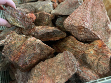 Rough Leopard Skin Jasper from Mexico 10 pounds Roughstone.Rocks LLC