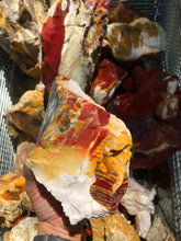 Rough Mookaite from Australia 1 pound Roughstone.Rocks LLC